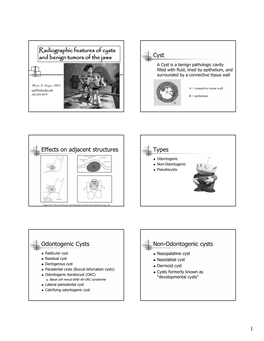 Radiographic Features of Cysts and Benign Tumors of the Jaws