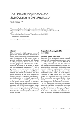 The Role of Ubiquitination and Sumoylation in DNA Replication