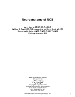 Neuroanatomy of NCS