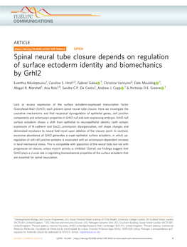 Spinal Neural Tube Closure Depends on Regulation of Surface Ectoderm Identity and Biomechanics by Grhl2