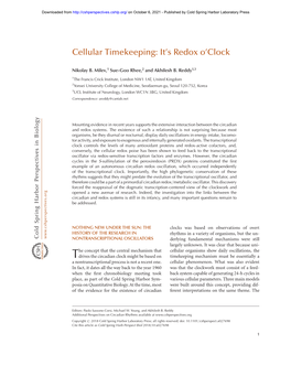 Cellular Timekeeping: It's Redox O'clock