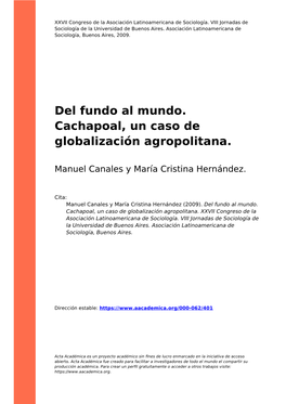 Del Fundo Al Mundo. Cachapoal, Un Caso De Globalización Agropolitana