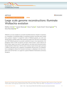 Large Scale Genome Reconstructions Illuminate Wolbachia Evolution