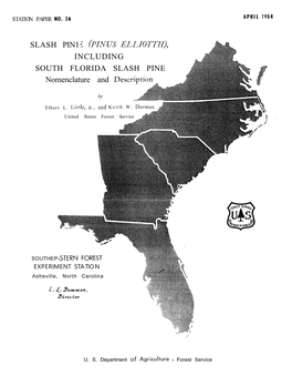 SLASH PINE Nomenclature and Descr