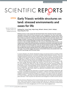 Early Triassic Wrinkle Structures on Land