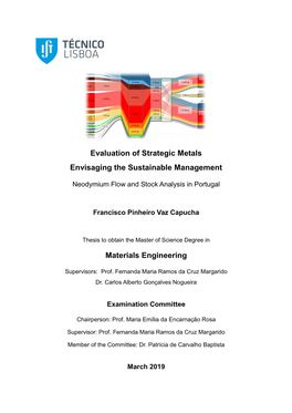 Evaluation of Strategic Metals Envisaging the Sustainable Management
