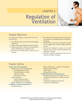 Regulation of Ventilation