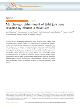 Morphologic Determinant of Tight Junctions Revealed by Claudin-3 Structures