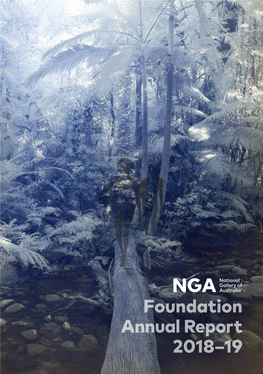 Foundation Annual Report 2018–19