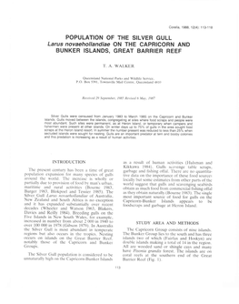 POPULATION of the SILVER GULL Larus Novaehollandiae on THE