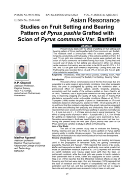 Studies on Fruit Setting and Bearing Pattern of Pyrus Pashia Grafted with Scion of Pyrus Communis Var