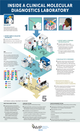 Inside a Clinical Molecular Diagnostics Laboratory