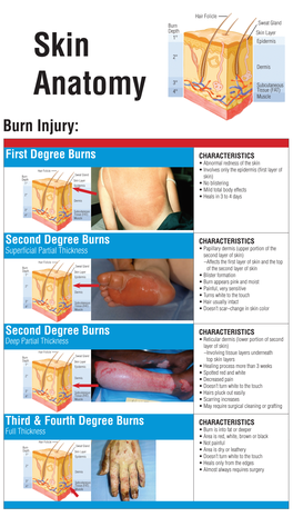 Identifying the Degree of a Burn Poster