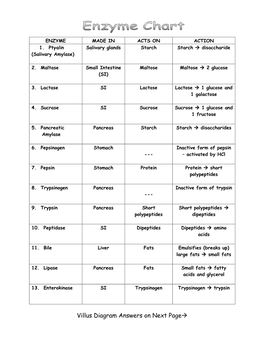 Villus Diagram Answers on Next Page→