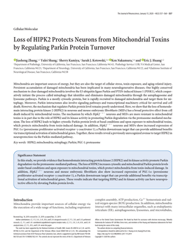 Loss of HIPK2 Protects Neurons from Mitochondrial Toxins by Regulating Parkin Protein Turnover