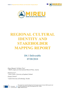 Regional Cultural Identity and Stakeholder Mapping Report