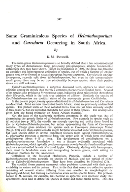 Some Graminicolous Species of Helminthosporium and Curvularia Occurring in South Africa