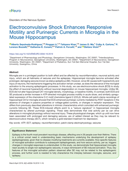 Electroconvulsive Shock Enhances Responsive Motility and Purinergic Currents in Microglia in the Mouse Hippocampus