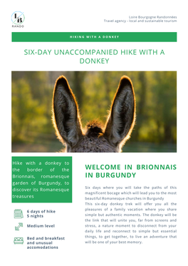 Donkey Hike 6 Days Brionnais