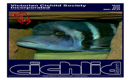 Victorian Cichlid Society Incorporated