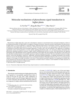 Molecular Mechanisms of Phytochrome Signal Transduction in Higher Plants