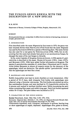 The Fungus Genus Kernia with the Description of a New Species Dung