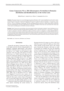 Genus Camponotus Mayr, 1861 (Hymenoptera: Formicidae) in Romania: Distribution and Identification Key to the Worker Caste