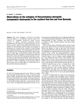 (Holoplanktic Gastropoda) in the Southern Red Sea and from Bermuda