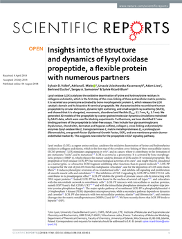 Insights Into the Structure and Dynamics of Lysyl Oxidase