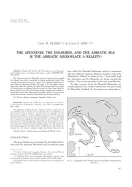 The Apennines, the Dinarides, and the Adriatic Sea: Is the Adriatic Microplate a Reality?