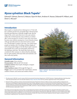 Nyssa Sylvatica: Black Tupelo1 Edward F