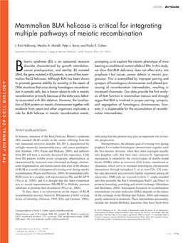 Mammalian BLM Helicase Is Critical for Integrating Multiple Pathways of Meiotic Recombination