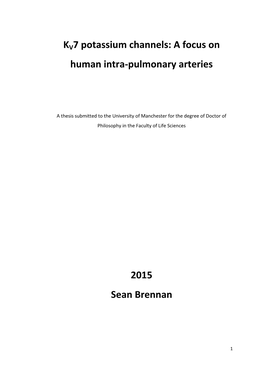 KV7 Potassium Channels: a Focus on Human Intra-Pulmonary Arteries