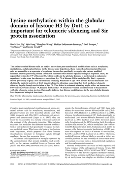 Lysine Methylation Within the Globular Domain of Histone H3 by Dot1 Is Important for Telomeric Silencing and Sir Protein Association
