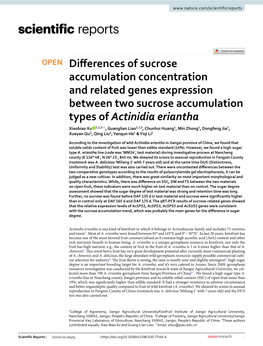 Differences of Sucrose Accumulation Concentration and Related Genes Expression Between Two Sucrose Accumulation Types of Actinid