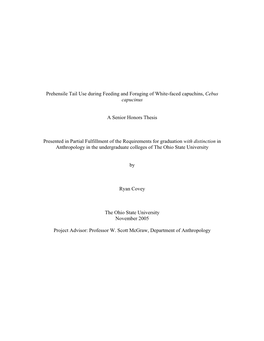 Prehensile Tail Use During Feeding and Foraging of White-Faced Capuchins, Cebus Capucinus