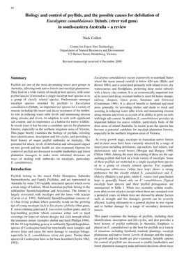 Biology and Control of Psyllids, and the Possible Causes for Defoliation of Eucalyptus Camaldulensis Dehnh