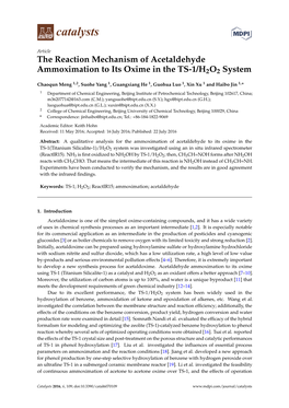 The Reaction Mechanism of Acetaldehyde Ammoximation to Its Oxime in the TS-1/H2O2 System