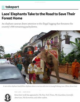 Laos' Elephants Take to the Road to Save Their Forest Home