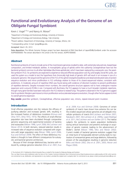 Functional and Evolutionary Analysis of the Genome of an Obligate Fungal Symbiont