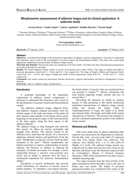 Morphometric Measurement of Adductor Longus and Its Clinical Application: a Cadaveric Study