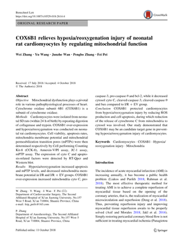 COX6B1 Relieves Hypoxia/Reoxygenation Injury of Neonatal Rat Cardiomyocytes by Regulating Mitochondrial Function