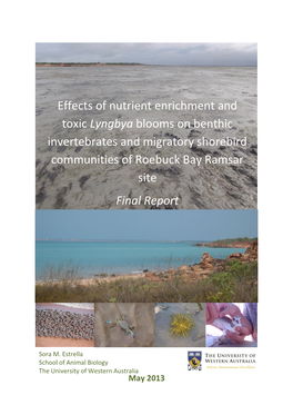 Effects of Nutrient Enrichment and Toxic Lyngbya Blooms on Benthic Invertebrates and Migratory Shorebird