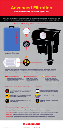 Advanced Filtration for Freshwater and Saltwater Aquariums