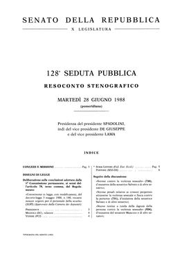 128A SEDUTA PUBBLICA RESOCONTO