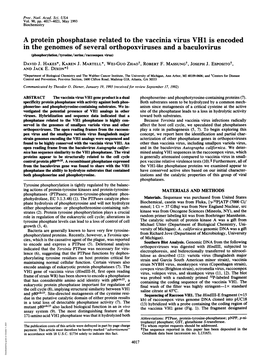 A Protein Phosphatase Related to the Vaccinia Virus VH1 Is Encoded In