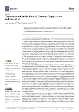 Chromosome-Centric View of Genome Organization and Evolution