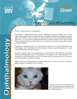 What Is Hypertensive Retinopathy?