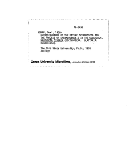 ULTRASTRUCTURE of the MATURE SPERMATOZOA and the PROCESS of SPERMIOGENESIS in the COCKROACH, NAUPHOETA CINEREA (DICTYOPTERA: BLATTARIA: Blaberidael