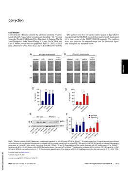 Irhom2 Controls the Substrate Selectivity of Stimulated ADAM17-Dependent Ectodomain Shedding